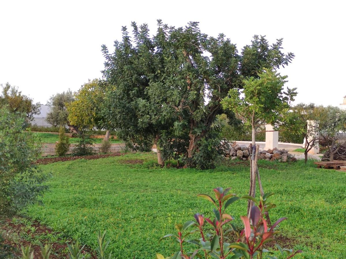 Vila Residenza "I Tre Carrubi " Fasano Exteriér fotografie