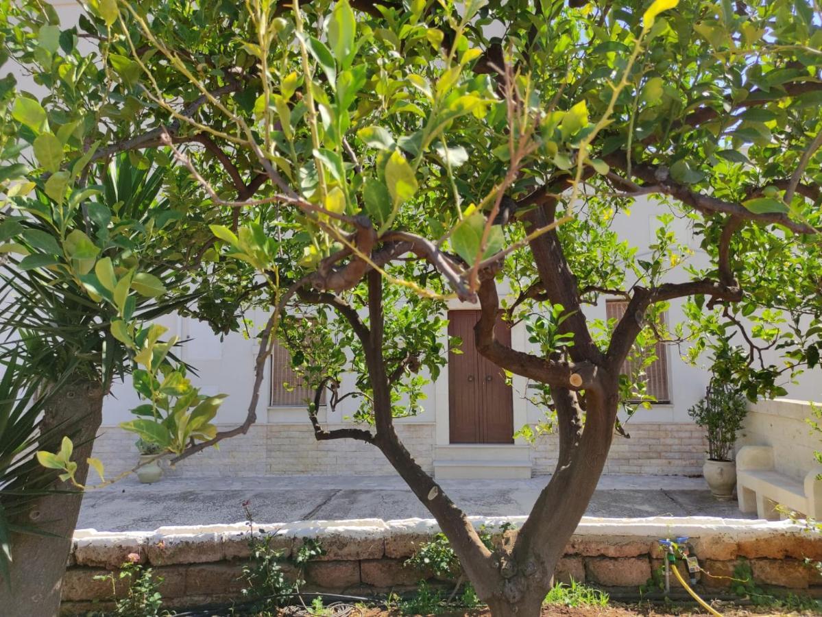 Vila Residenza "I Tre Carrubi " Fasano Exteriér fotografie
